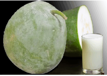 अल्सर को बढ़ने से रोकता है सफेद कद्दू का रस