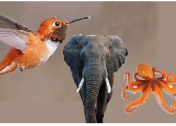 ज़रूरत पड़ने पर कुछ जीव पीछे की ओर चलने में होते हैं सक्षम