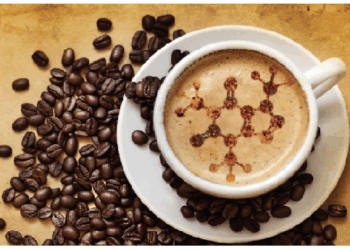 शोध में हुआ खुलासा, उम्र बढ़ने की रफ्तार कम कर सकती है कॉफी