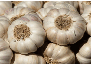 लहसुन के सेवन से होते है सेहत को चौंकाने वाले लाभ