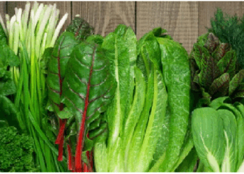 सावन में हरी पत्तेदार सब्जियां और भादों में दही क्यों नहीं खाना चाहिए