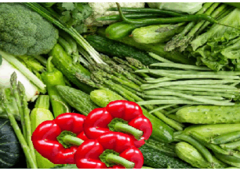 बरसात के दिनों हरी सब्जियां खाने से हो सकता है ये नुकसान