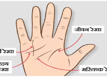 हथेली से भी पता चलता है कैसा होगा जीवन
