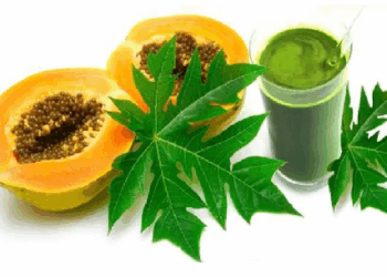 कैंसर सेल्स को रोकने में मददगार पपीते के पत्ते का जूस