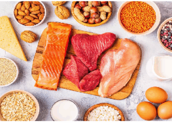 प्रोटीन का करें पर्याप्त सेवन, लेकिन इस बात का रखें ख्याल