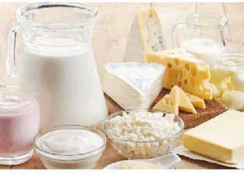 ऑस्टियोपोरोसिस से बचने के लिए डाइट में शामिल करें प्रोटीन युक्त खाद्य पदार्थ