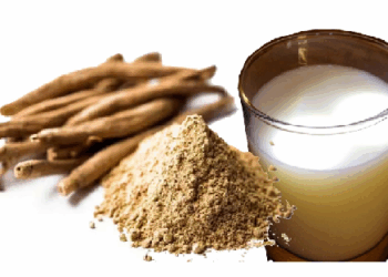 अश्वगंधा चूर्ण को दूध में मिलाकर पीना अत्यधिक लाभकारी