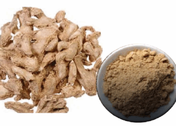 सोंठ मात्र मसाला नहीं, शक्तिशाली आयुर्वेदिक औषधि भी