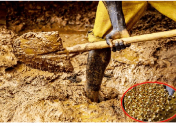 चीन में आई भीषण बाढ़ में बह गया 20 किलो से ज्यादा का सोना