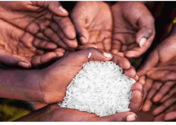 सुख-समृद्धि प्राप्त करने के लिए दान का विशेष महत्त्व, दान से होता है भाग्योदय