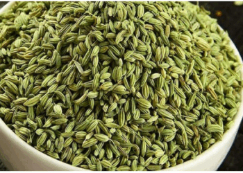 सौंफ के सेवन से सेहत को होते हैं चमत्कारी फायदे