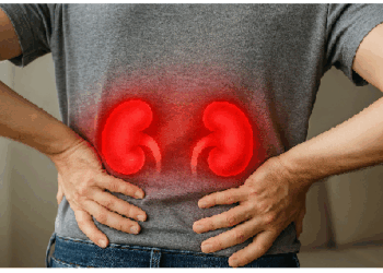 अनहेल्दी लाइफस्टाइल के कारण किडनी पर पड़ रहा बुरा असर