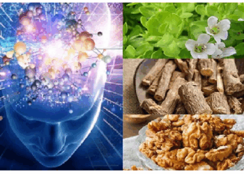 बच्चे की याददाश्त बढ़ाने ये उपाय करें