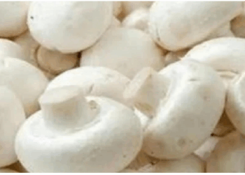 धूप में रखने से मशरूम बन जाती है विटामिन डी का शानदार स्रोत