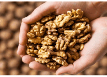 हेल्दी और Glowing Skin के लिए आज से ही खाना शुरू कर दें ये Dry Fruit