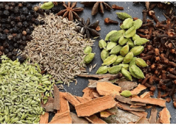 पाचन तंत्र को मजबूत बनाने में मदद करते हैं गरम मसाले