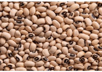 वजन घटाने वालों के लिए बेहद लाभकारी है लोबिया