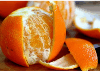 संतरे का छिलका सेहत का है खजाना, शोध में हुआ चौंकाने वाला खुलासा