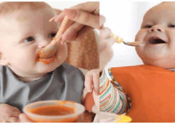 बच्चों को इस प्रकार खाना खिलाएं