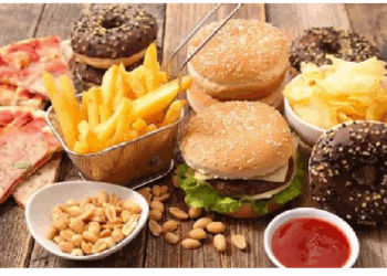 फैटी जंक फूड के सेवन से दिमागी सेहत भी तेजी से प्रभावित