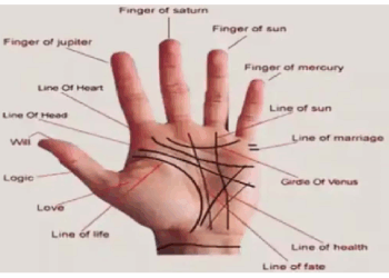 हथेली से जानें व्यक्ति का स्वभाव