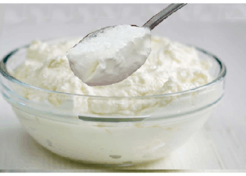 रोजाना एक कटोरी दही खाएं शरीर में होंगे 5 जबरदस्त बदलाव, दिखेंगे चमत्कारी लाभ