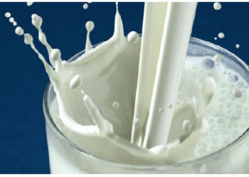 बिना चीनी वाला सादा दूध डायबिटीज के मरीजों के लिए सुरक्षित