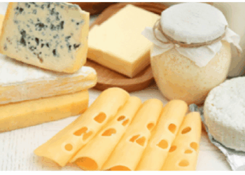 प्रोटीन से भरपूर भोजन हड्डियों की सेहत के लिए जरूरी