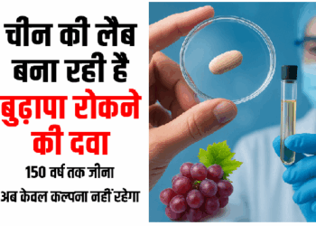 चीन की लैब बना रही है ‘बुढ़ापा रोकने की दवा’, अंगूर के बीज से तैयार हो रही गोली