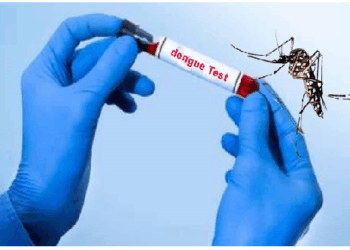 डेंगू से बचाव में कपूर और नारियल तेल का मिश्रण बहुत कारगर