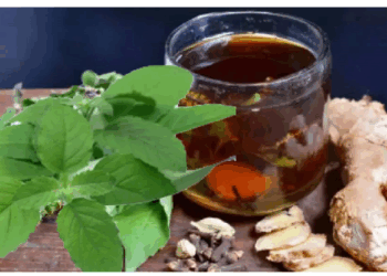 अदरक और तुलसी का काढ़ा कफ और खांसी का असरदार उपाय