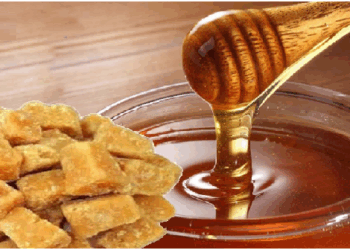 गुड़ और शहद, अच्छी सेहत के लिए दोनों है फायदेमंद