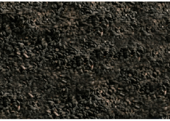 कलौंजी कई बीमारियों को दूर करने में है कारगर