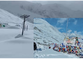 हिमाचल में शिंकुला दर्रा बर्फबारी के बाद नया टूरिस्ट डेस्टिनेशन……….बर्फ देखने पहुंच रहे टूरिस्ट