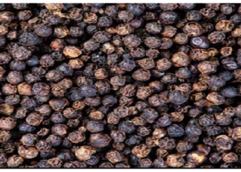 वात और कफ दोष को संतुलित करती है काली मिर्च