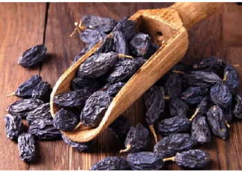 महिलाओं की स्वास्थ्य समस्याओं का समाधान करती है काली किशमिश