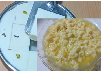 गाय या भैंस के ब्याने के बाद मिलने वाली खीस बेहद लाभकारी