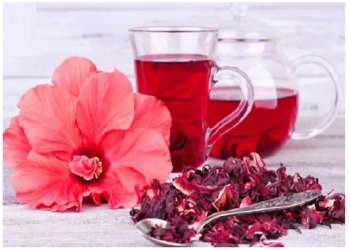 गुड़हल से बना पानी सेहत को पहुंचाता है फायदा