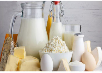 प्लांट-बेस्ड डाइट बन रही लोगों की पहली पसंद