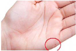 हथेली पर जानिए कौन सी होती है विवाह रेखा, कैसी रेखा से अधूरी रह जाती है प्रेम कहानी