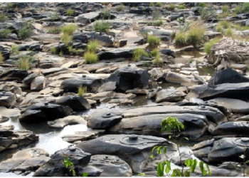 शालमला रिवर के तल में उकेरे गए हैं हजारों शिवलिंग