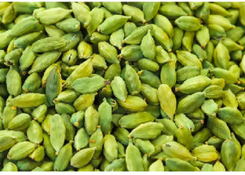 इलायची है औषधीय गुणों का खजाना, ये है खासियत