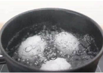 पौधों के लिए बेहद लाभकारी साबित हो सकता है उबले अंडों का पानी