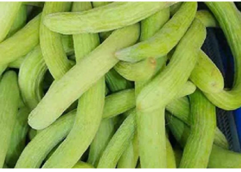 गर्मियों में शरीर को ठंडक प्रदान करती है ककड़ी