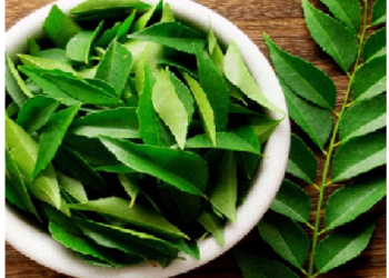 सुंदरता बढ़ाने करी पत्ते का सेवन करें