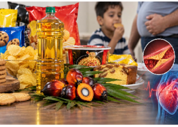 Palm Oil Health Risks: ज्यादा पाम ऑयल वाले पैकेटबंद खाद्य पदार्थों का सेवन कितना नुकसानदायक?