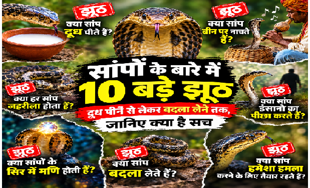 दूध, बदला और बीन… सांपों के बारे में 10 झूठ, जिन्हें सच मान बैठी दुनिया, जानिए क्या कहता है विज्ञान