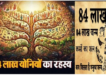 84 लाख योनियों का रहस्य! जानें मृत्यु के बाद मिलता है कौन सा जन्म