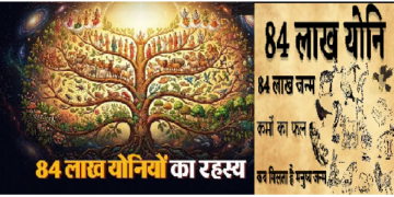 84 लाख योनियों का रहस्य! जानें मृत्यु के बाद मिलता है कौन सा जन्म