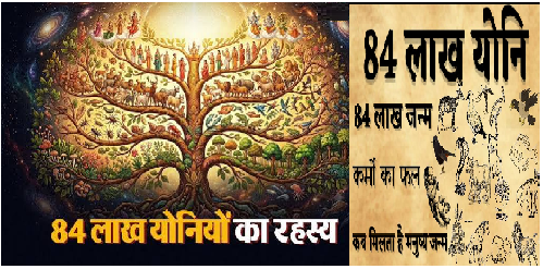 84 लाख योनियों का रहस्य! जानें मृत्यु के बाद मिलता है कौन सा जन्म